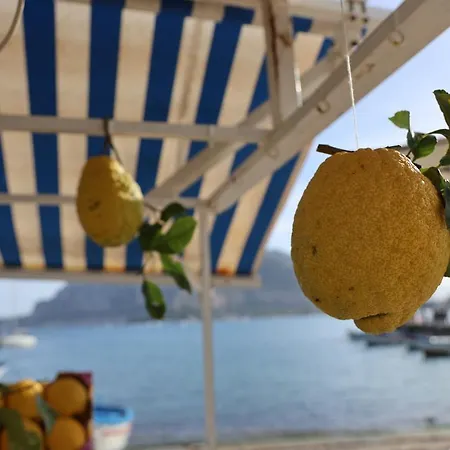 酒店 Smart Gallery House 3*